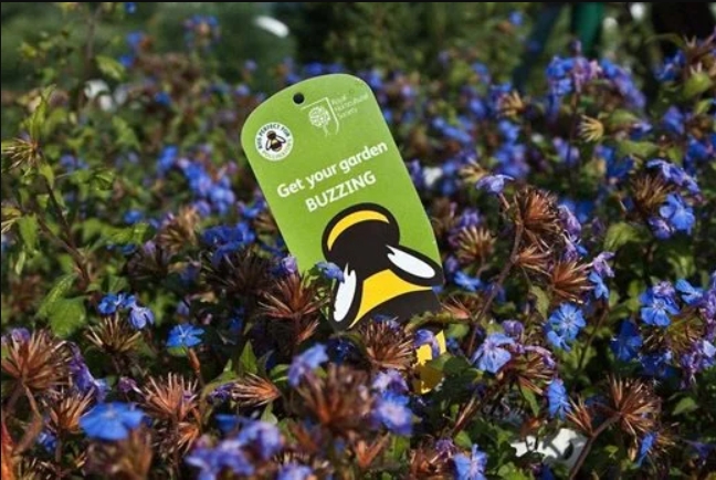 Plants-for-Pollinators1